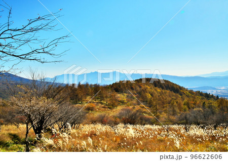 蓼科高原 八子ガ峰 蓼科高原 八子ガ峰 96622606