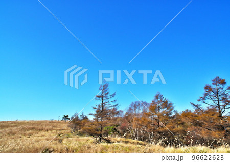 蓼科高原 八子ガ峰 蓼科高原 八子ガ峰 96622623