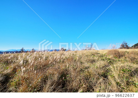 蓼科高原 八子ガ峰 蓼科高原 八子ガ峰 96622637