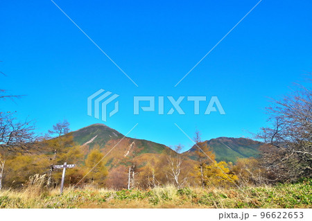蓼科高原　八子ガ峰 96622653