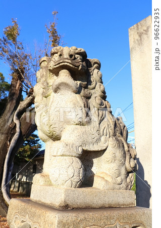 青空の中、常滑市の小倉神社に置かれている狛犬 96622935