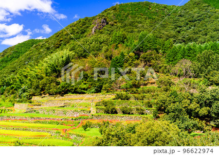 最高に美しい秋晴れを背景に彼岸花「観光名所：日本棚田百選・番所の棚田」(日本・九州・熊本県山鹿市) 96622974