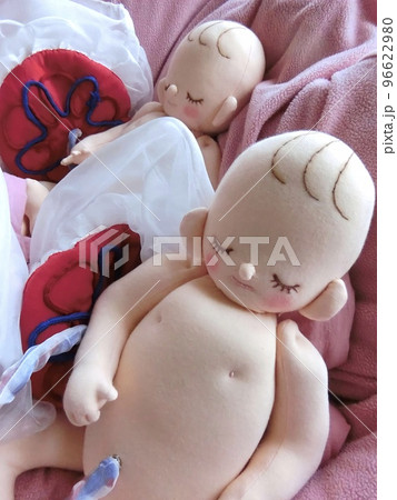 可愛らしい胎児の姿　妊娠、出産 96622980