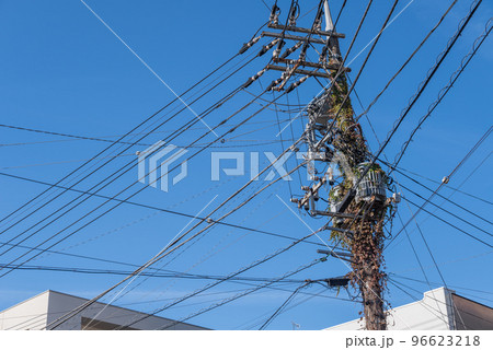 ツタに覆われた電柱 96623218
