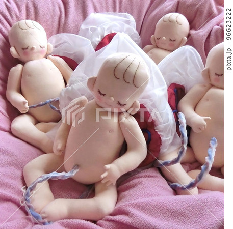 幸せなお産のために　妊娠の理解を深める 96623222