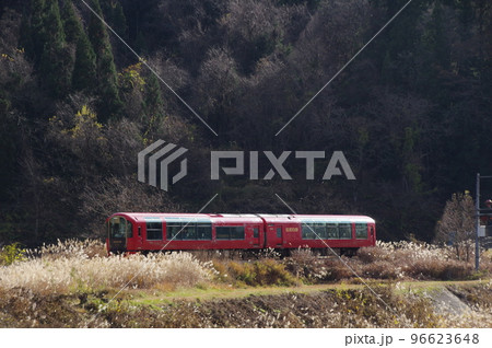 大糸線全線開通65周年記念乗入れ リゾート雪月花 ススキ 96623648