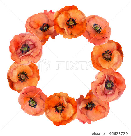 Watercolor wreath circle frame composition with hand drawn summer bright red poppy flowers. Isolated on white background. Design for invitations, wedding, love or greeting cards, paper, print, textile Watercolor wreath circle frame composition with hand drawn summer bright red poppy flowers. Isolated on white background. Design for invitations, wedding, love or greeting cards, paper, print, textile 96623729