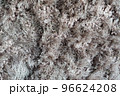Carpet texture. Close up Macro shot of Rustic wool Grunge fabric texture and background. Gray carpet material abstract background. 96624208