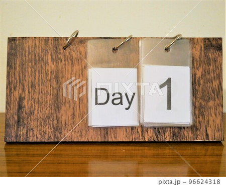 day1 96624318