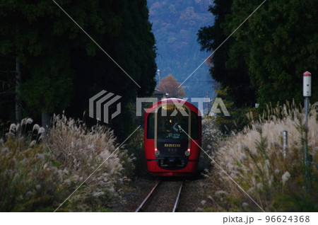 大糸線全線開通65周年記念乗入れ リゾート雪月花 杉林 96624368