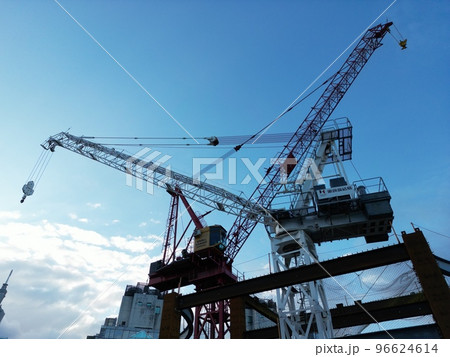 鶴 ツル つる 96624614