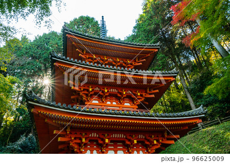 秋の岩船寺 96625009