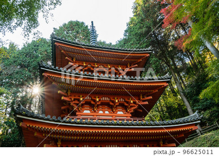 秋の岩船寺 96625011