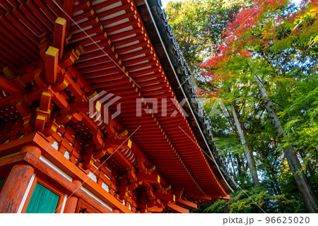 秋の岩船寺 96625020