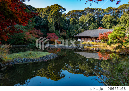 紅葉の浄瑠璃寺 紅葉の浄瑠璃寺 96625168