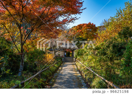 紅葉の浄瑠璃寺 紅葉の浄瑠璃寺 96625198