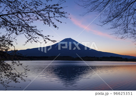 夜明けの富士山 静岡県富士宮市田貫湖にて 夜明けの富士山 静岡県富士宮市田貫湖にて 96625351