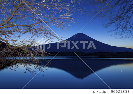 夜明けの富士山　静岡県富士宮市田貫湖にて 96625353