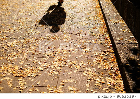 【横浜市】日本大通りの秋 【横浜市】日本大通りの秋 96625397