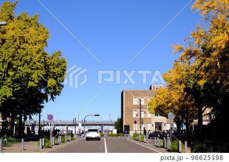 【横浜市】日本大通りの秋 【横浜市】日本大通りの秋 96625398