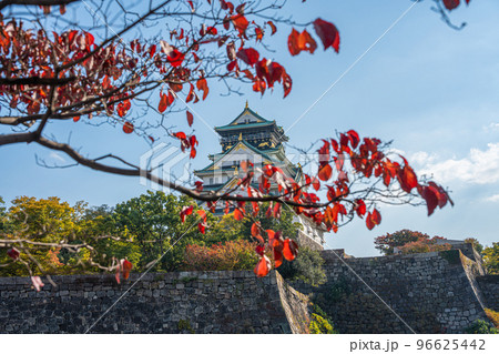 【紅葉】秋の大阪城公園【大阪城天守閣】 【紅葉】秋の大阪城公園【大阪城天守閣】 96625442