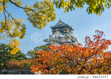 【紅葉】秋の大阪城公園【大阪城天守閣】 【紅葉】秋の大阪城公園【大阪城天守閣】 96625447