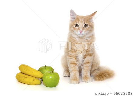 Red kitten is sitting next to fruit 96625508