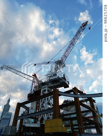 鶴 ツル つる 96625708