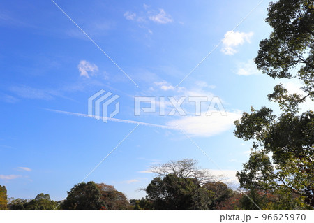 青空 雲 木 飛行機雲 青空 雲 木 飛行機雲 96625970