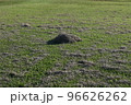 草原に枯れ草の山 96626262