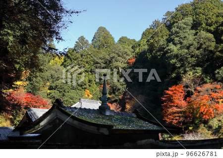 ロマンチック茨城（古の寺の境内に今年もまた、いつも通りの小さな秋がやって来た。）城里町　清音寺 96626781