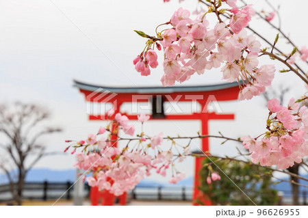 宮島サービスエリア「SA」 宮島サービスエリア「SA」 96626955