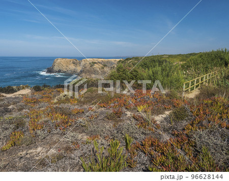 View of sea shore with small wooden bridge, ocean waves, cliffs and sand dunes covered by green vegetation red leaves of sour fig, sunny day, clear blue sky. Rota Vicentina coast, Portugal 96628144
