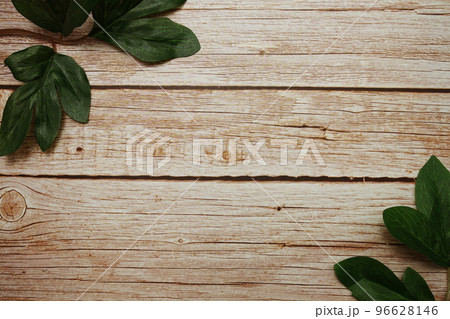Top view of green leaf with space copy on wooden background 96628146