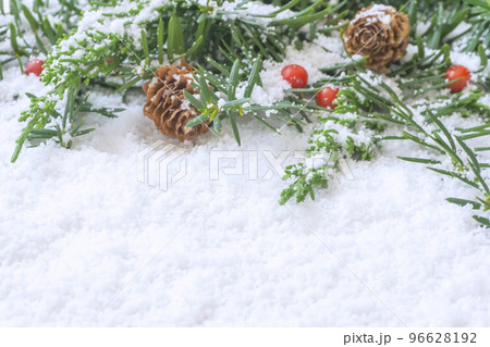 クリスマスまたは冬の背景。雪上の植物	 96628192