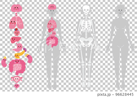 顔つき内臓　骨格　ボディ　3セット（ボディグレー） 96628445