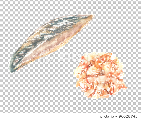 Illustration of dried bonito painted by watercolor Illustration of dried bonito painted by watercolor 96628743
