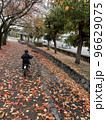 落ち葉のカーペット 96629075
