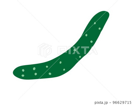 きゅうり 96629715