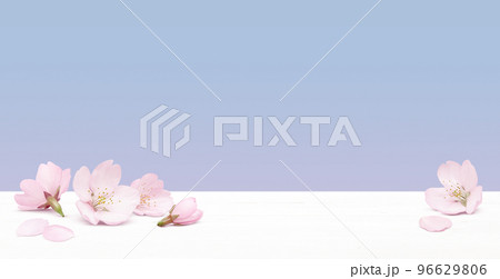 リアルな桜のイラスト  リアルな桜のイラスト  96629806