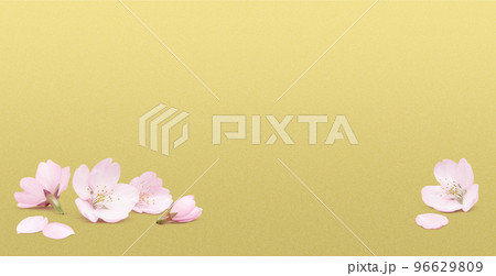 リアルな桜のイラスト  96629809