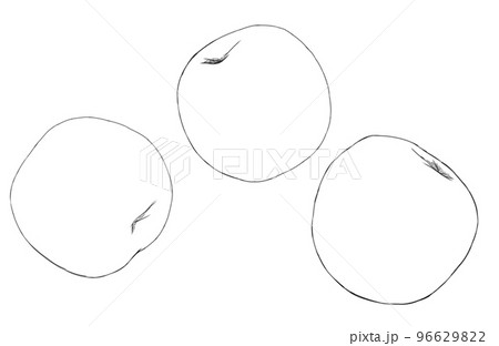 梅の実のイラスト素材 梅の実のイラスト素材 96629822