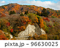 紅葉と岩 96630025