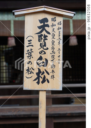 諏訪大社（下社）には本殿がありません。代わりに春宮ではスギの古木を、ご神木としています。 96632508
