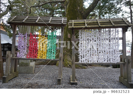 諏訪大社（下社）には本殿がありません。代わりに春宮ではスギの古木を、ご神木としています。 96632523