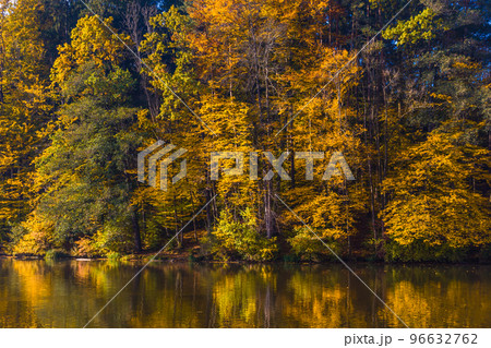 Autumn morning at lake Thal near Graz, Styria region, Austria Autumn morning at lake Thal near Graz, Styria region, Austria 96632762