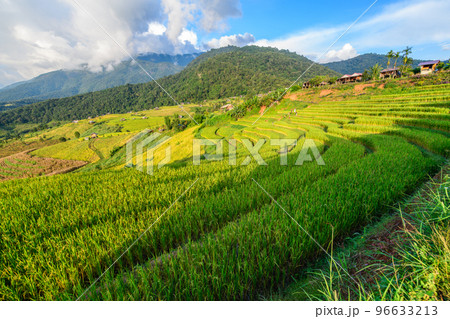 Landscape of Pa Pong Piang Rice Terraces with homestay on mountain Landscape of Pa Pong Piang Rice Terraces with homestay on mountain 96633213