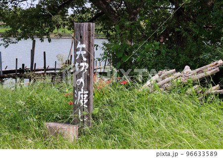 矢切の渡し 96633589