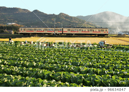 JR和歌山線 JR紀伊小倉駅付近 和歌山県 JR和歌山線 JR紀伊小倉駅付近 和歌山県 96634847