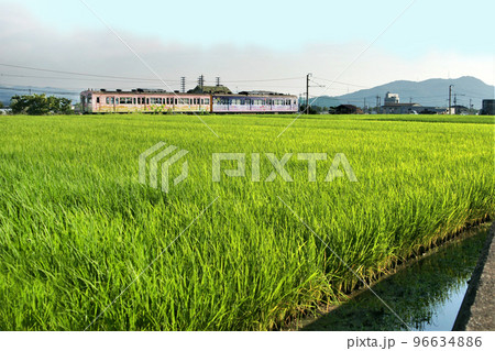 JR和歌山線　JR下井坂駅付近  和歌山県 96634886